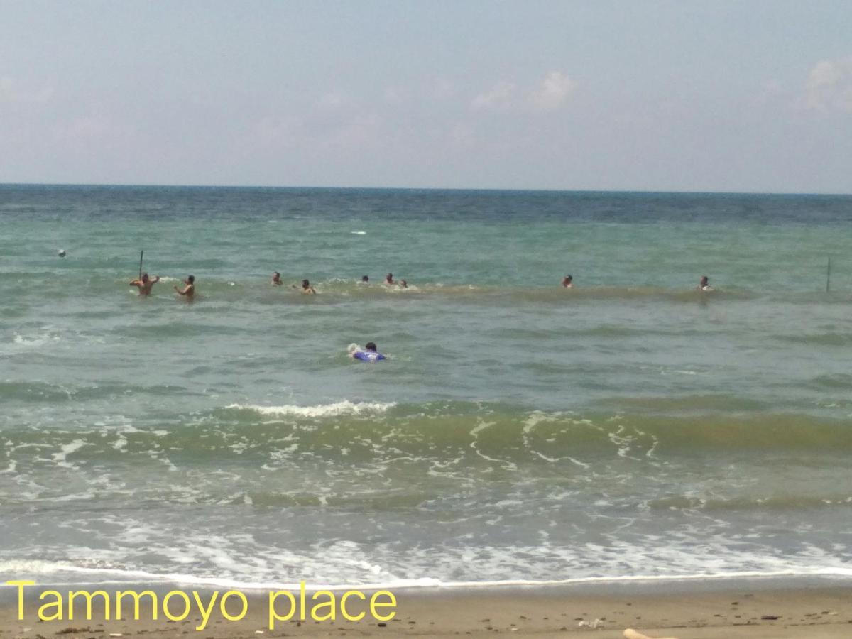 Tammoyo Place Кудат Экстерьер фото